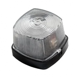 2 Piloto galibo blanco